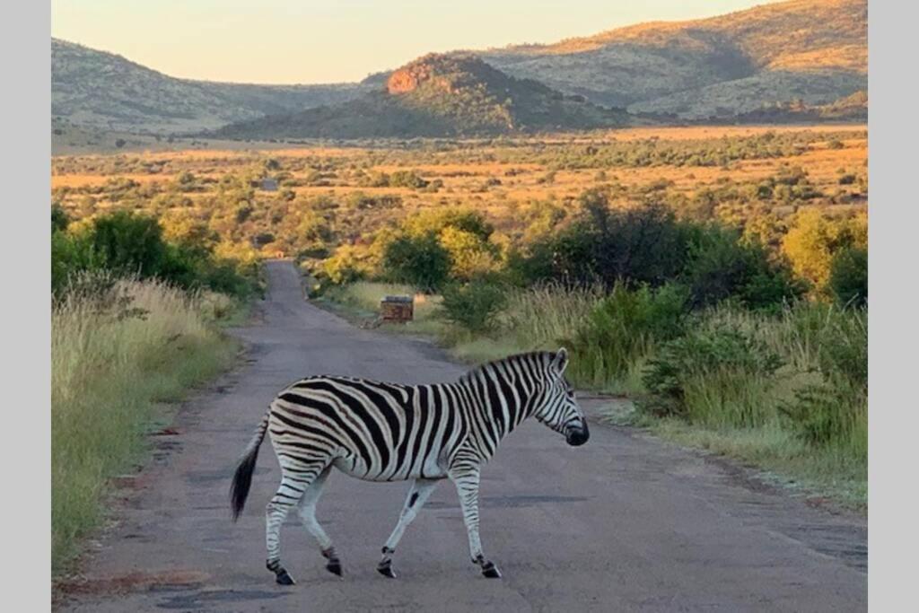 Rhino House With 3 Bedrooms Next To Pilanesberg And Sun City Mogwase エクステリア 写真