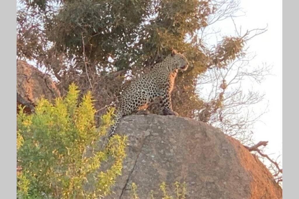Rhino House With 3 Bedrooms Next To Pilanesberg And Sun City Mogwase エクステリア 写真