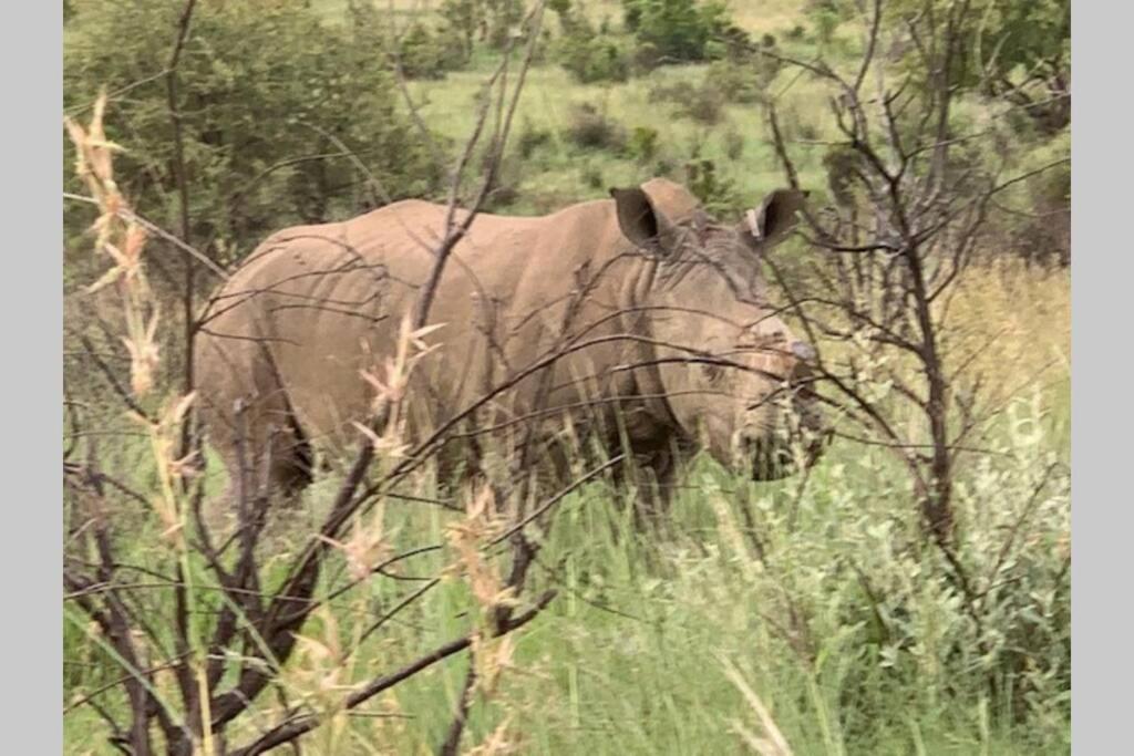 Rhino House With 3 Bedrooms Next To Pilanesberg And Sun City Mogwase エクステリア 写真